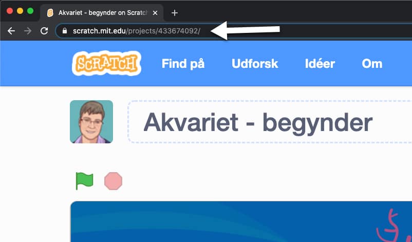 Sådan finder du webadressen